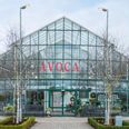 Popular products sold by Avoca have been recalled due to ‘incorrect information’