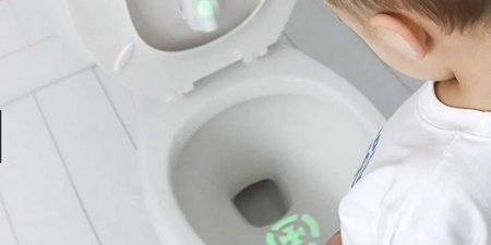 The bullseye toilet bowl light that is teaching little boys to aim better when they pee