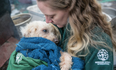 Hundreds of dogs have been rescued from a meat farm in South Korea