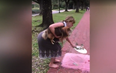 Viral video caught middle-aged-woman destroying a baby’s photoshoot