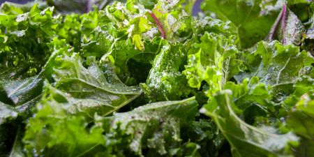 Organic kale recalled from SuperValu and Dunnes over health and safety fears