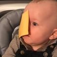 Parents are throwing cheese slices at their babies’ heads and it’s proving controversial