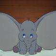 Penneys have released the most adorable Dumbo collection