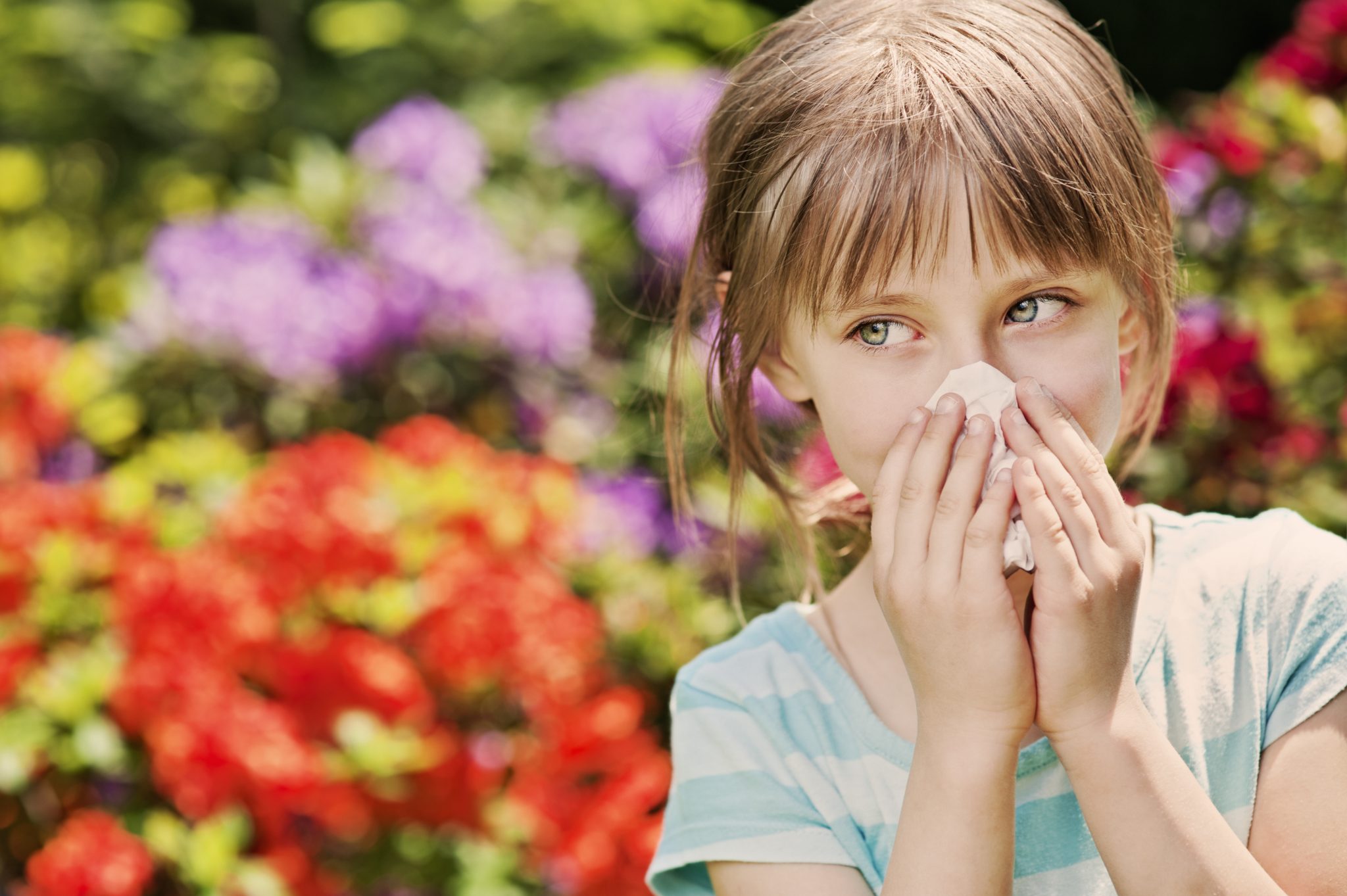 If you suffer from hayfever these products will help get you through the summer