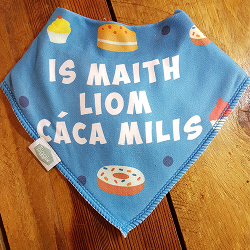 Super cute Irish language bibs perfect for teaching baby their cúpla focail