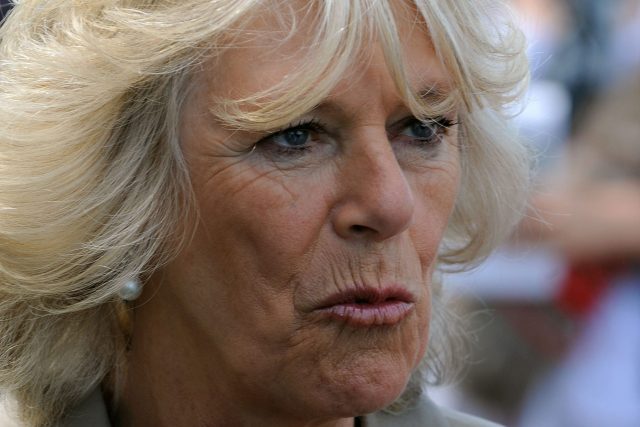 Take a minute for the Duchess of Cornwall winking behind Donald Trump’s back
