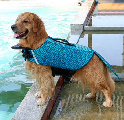 You can now get a mermaid life jacket for your dog and we’ll take seven