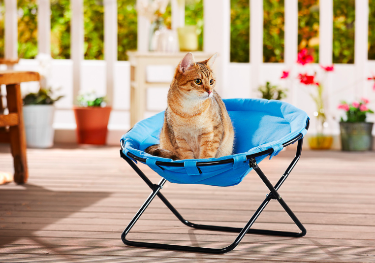 Lidl is now selling a seat for your cat or small dog and awwww