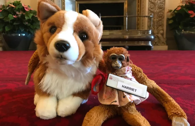 Buckingham Palace returns lost teddy to 5-year-old school girl