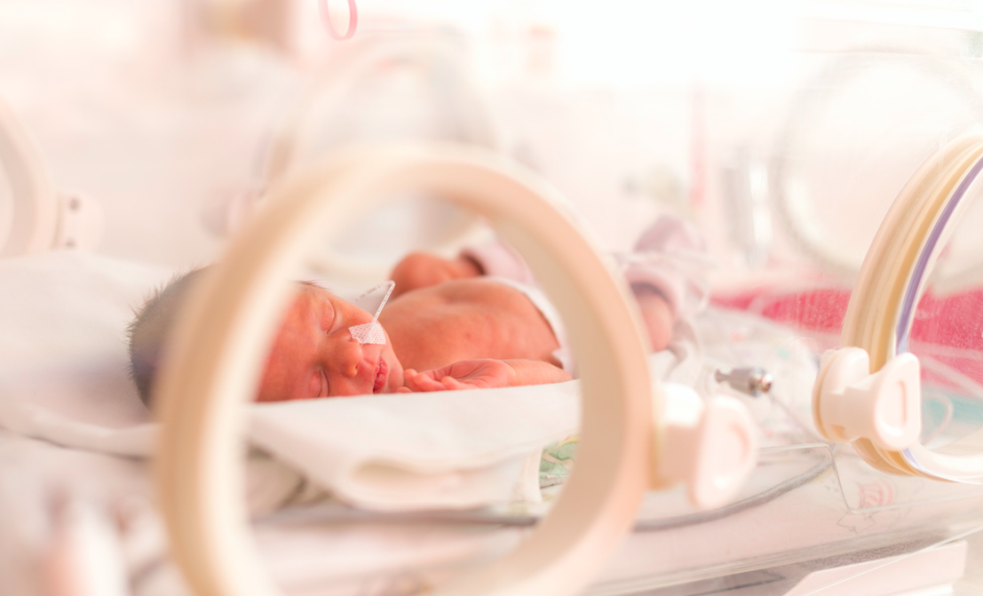 The vast majority of premature babies grow up with no serious health complications says study