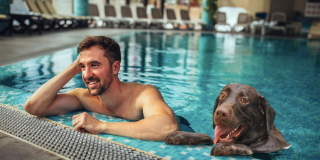 You can now go on a spa day with your dog in the UK and sorry, imagine