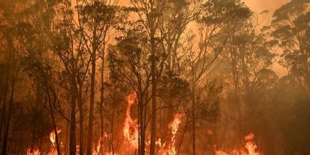 Sydney suburb recorded as the hottest place on Earth yesterday as bushfires continue