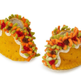 Taco booties for babies exist and they are actually adorable enough to eat