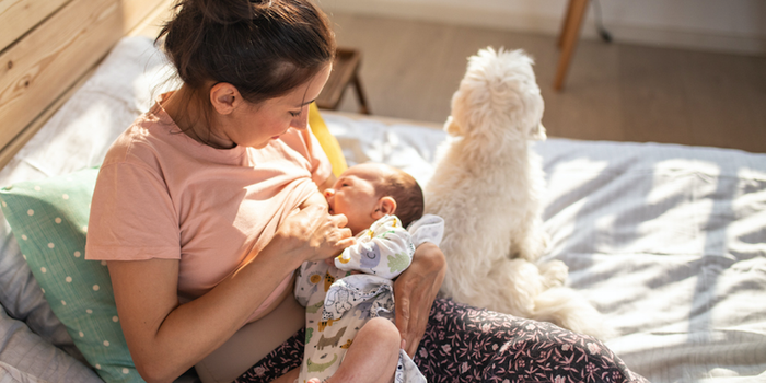 co-sleeping and breastfeeding