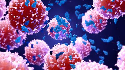 Groundbreaking study might have discovered a more efficient way to treat cancer