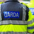 Eight year old Dublin boy attacked by dogs has died