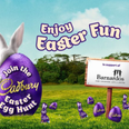Cadbury Ireland cancel annual Easter egg hunt and make €40,000 donation to Barnardos