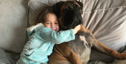 Kids have been applying to ‘work from home’ with their dogs during lockdown and nah, too much