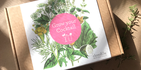 Getting into gardening? The Grow Your Own Cocktail kit is a great place to start