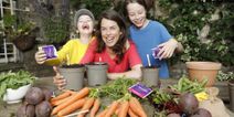 Energia and GIY are giving away free grow boxes so you can start a vegetable patch with your kids