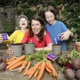 Energia and GIY are giving away free grow boxes so you can start a vegetable patch with your kids