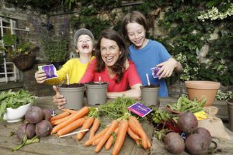 Energia and GIY are giving away free grow boxes so you can start a vegetable patch with your kids