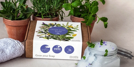 There is an Irish toy company is selling plants that you can use to grow your own soap