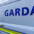 Bodies of father and son recovered from lake in Co. Donegal