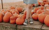 10 reasons to get excited for autumn (because this summer isn’t all that)