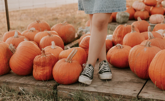 excited for autumn