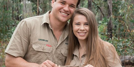 Bindi Irwin and husband announce that they are expecting their first baby
