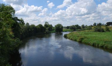 Teenager rescues two young boys who got into difficulty swimming in the River Boyne