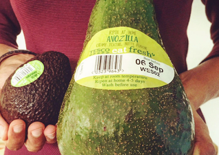 Smashing: Giant ‘Avozillas’ are back in Tesco from today