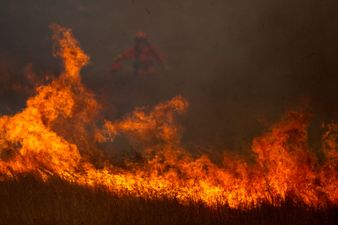 Gender reveal party triggers wildfire spanning 7,000 acres in California