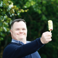 Take part in HB Ice Cream Sunday tomorrow – in support of Down Syndrome Ireland
