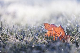 “Winter like” weather on the way for Ireland this week