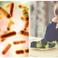 New research finds a strong link between gut bacteria and a child’s behaviour