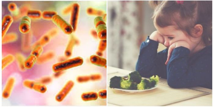 gut bacteria and lin to behaviour in children