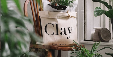 The gift that grows: We are obsessed with this new online Irish plant shop