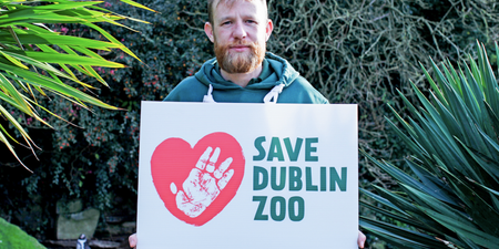 #Covid-19: Dublin Zoo launches fundraising campaign to help ‘Save Dublin Zoo’