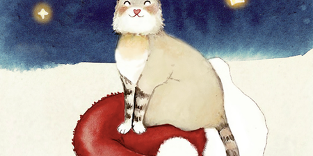Santa’s Cat: Irish author and illustrator team up for children this Christmas