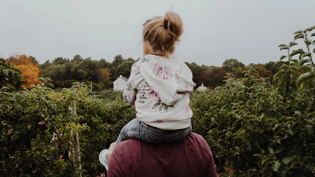 having daughters increases divorce risk