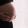 Pregnant women warned not to have the Moderna COVID vaccine
