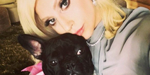Lady Gaga’s dog walker shot as her two dogs are stolen
