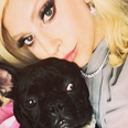 Lady Gaga’s dog walker shot as her two dogs are stolen