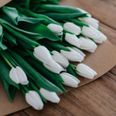 The clever hacks that keep your tulips from drooping