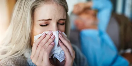 Gin and tonics can help relieve hayfever symptoms, science says