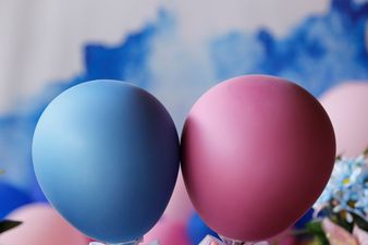 Gender reveal party explosion triggers earthquake reports from neighbours