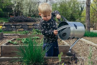 Expert reveals that praising your child is sometimes a bad thing