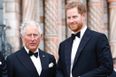 Prince Charles denies new claims he was the one who speculated about Archie’s skin tone